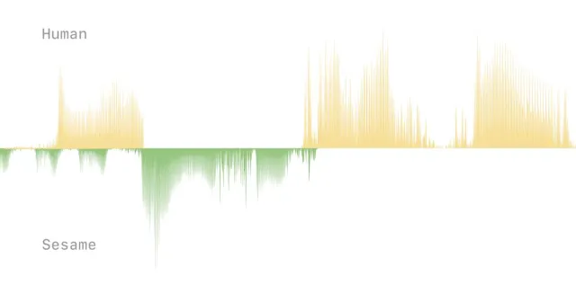 Sesame